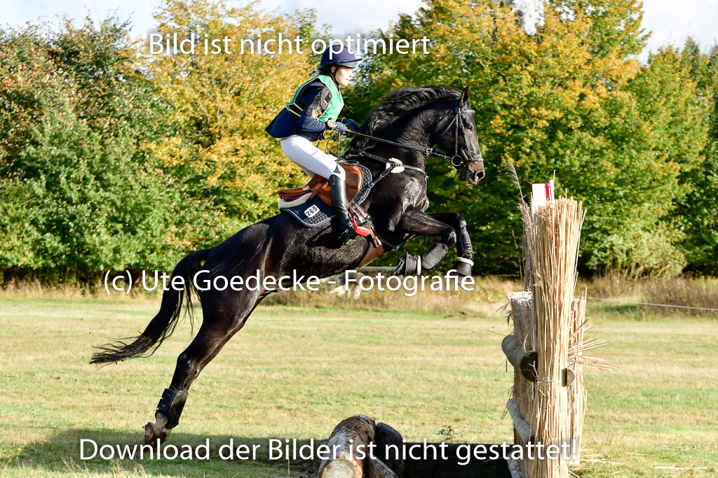 Bad Segeberg 09.10.2022 | 09102022 - XC CCI++ _463