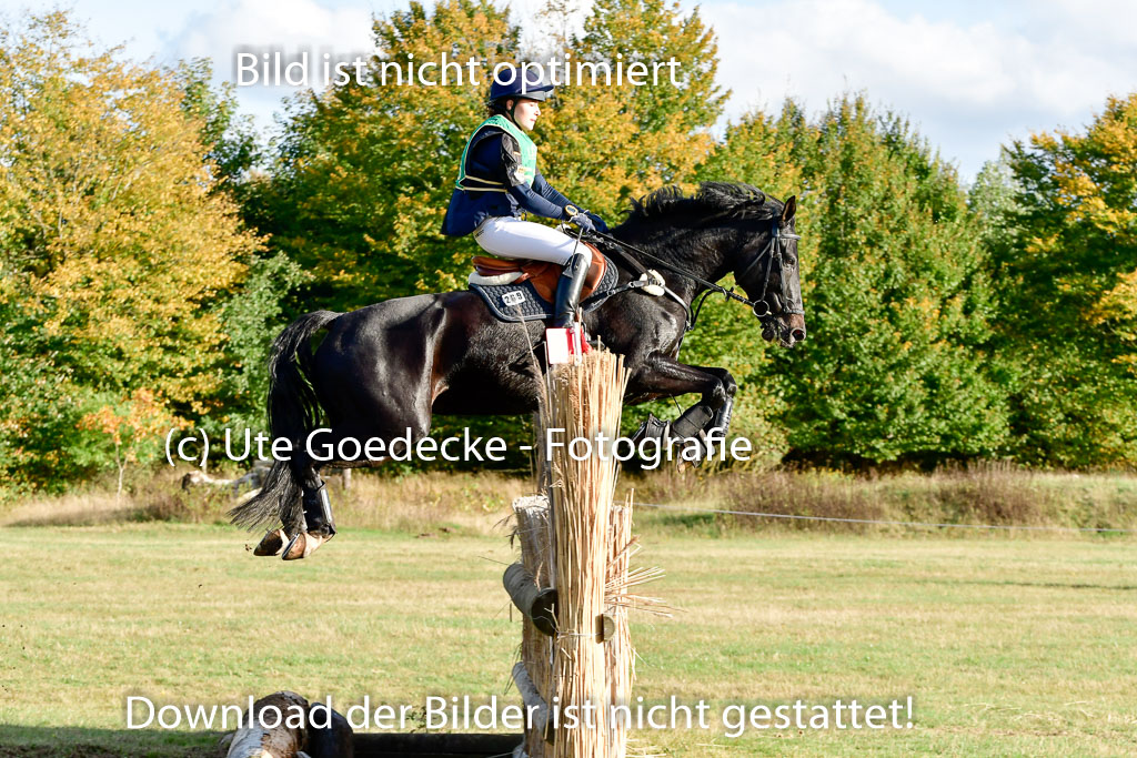 Bad Segeberg 09.10.2022 | 09102022 - XC CCI++ _465