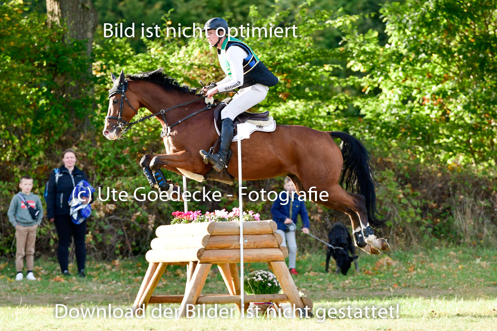 Bad Segeberg  09.10.2022 | 09102022 - XC CCI++ _469 