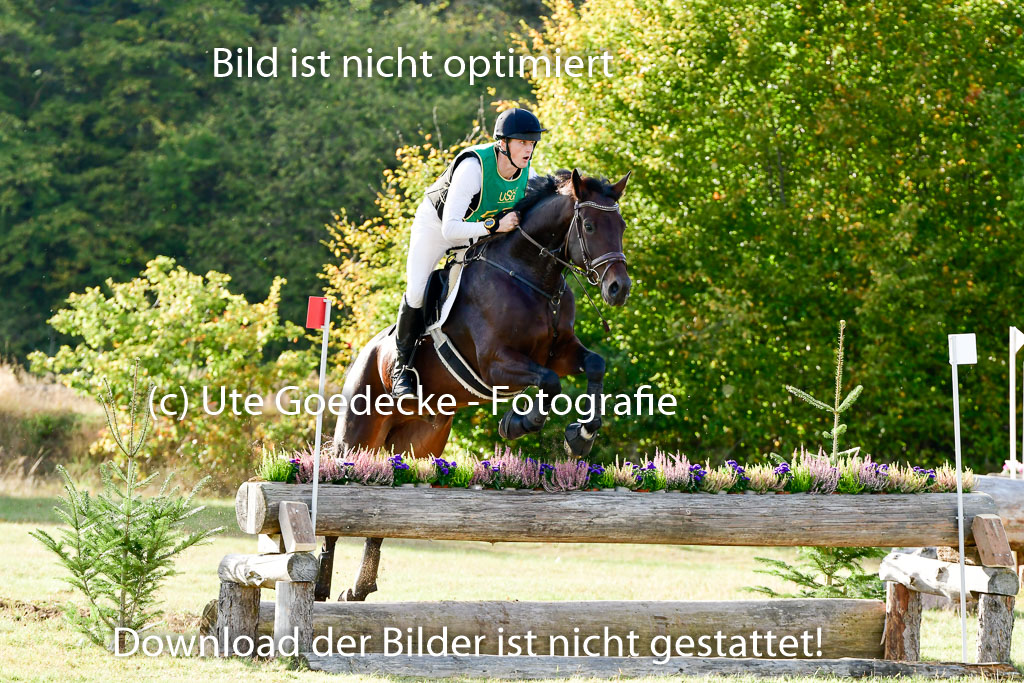 Bad Segeberg 09.10.2022 | 09102022 - XC CCI++ _474