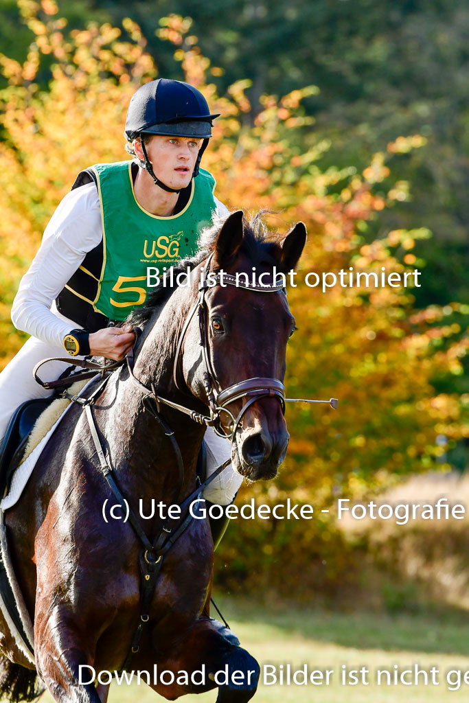 Bad Segeberg 09.10.2022 | 09102022 - XC CCI++ _480