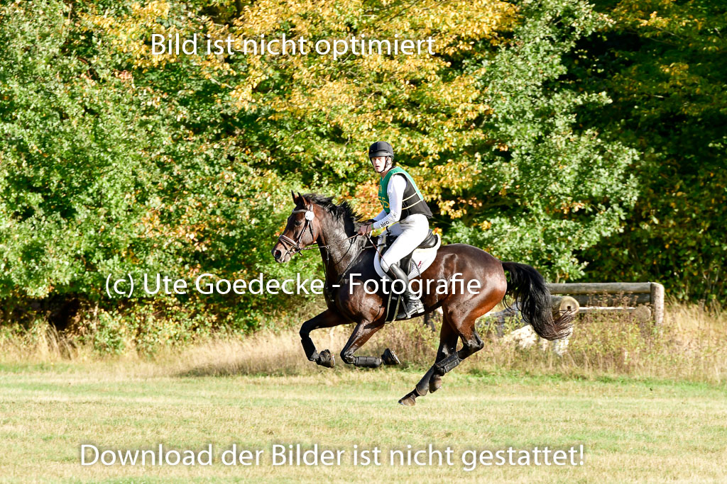 Bad Segeberg 09.10.2022 | 09102022 - XC CCI++ _482