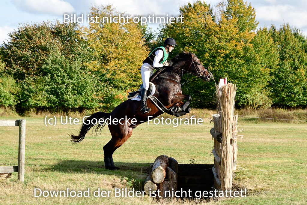 Bad Segeberg 09.10.2022 | 09102022 - XC CCI++ _483