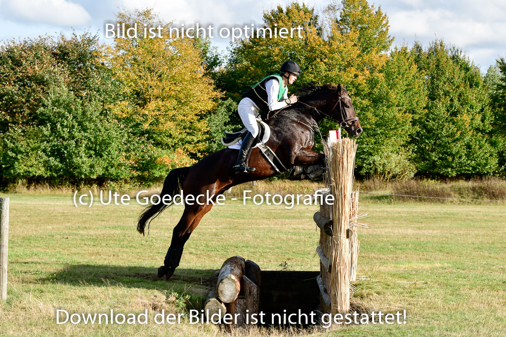Bad Segeberg 09.10.2022 | 09102022 - XC CCI++ _484