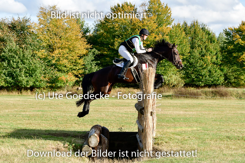 Bad Segeberg 09.10.2022 | 09102022 - XC CCI++ _485