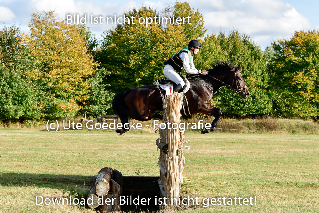 Bad Segeberg 09.10.2022 | 09102022 - XC CCI++ _486