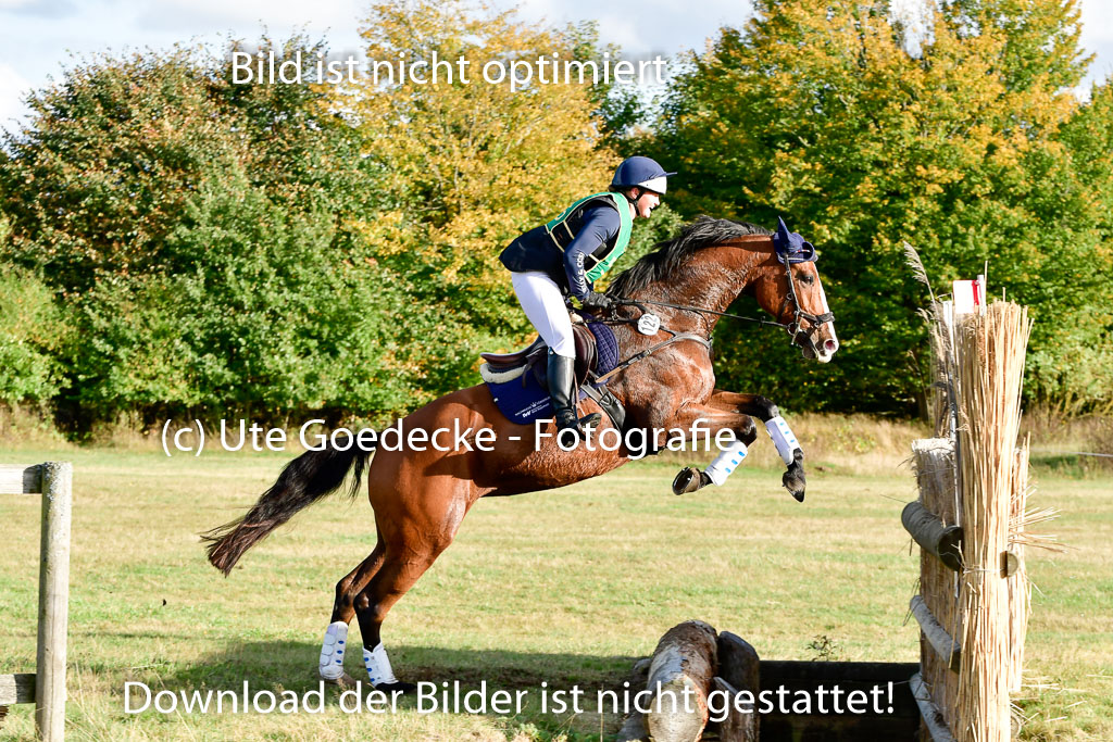 Bad Segeberg 09.10.2022 | 09102022 - XC CCI++ _492