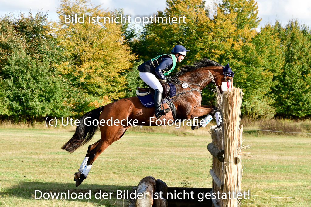 Bad Segeberg 09.10.2022 | 09102022 - XC CCI++ _493