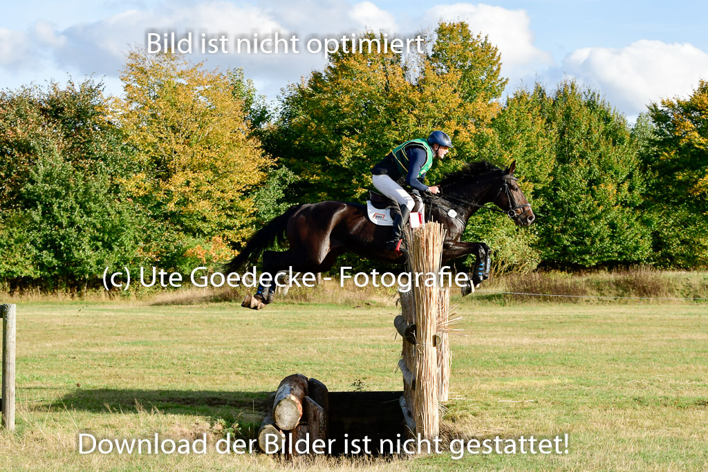 Bad Segeberg 09.10.2022 | 09102022 - XC CCI++ _502