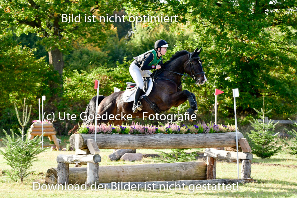 Bad Segeberg 09.10.2022 | 09102022 - XC CCI++ _503