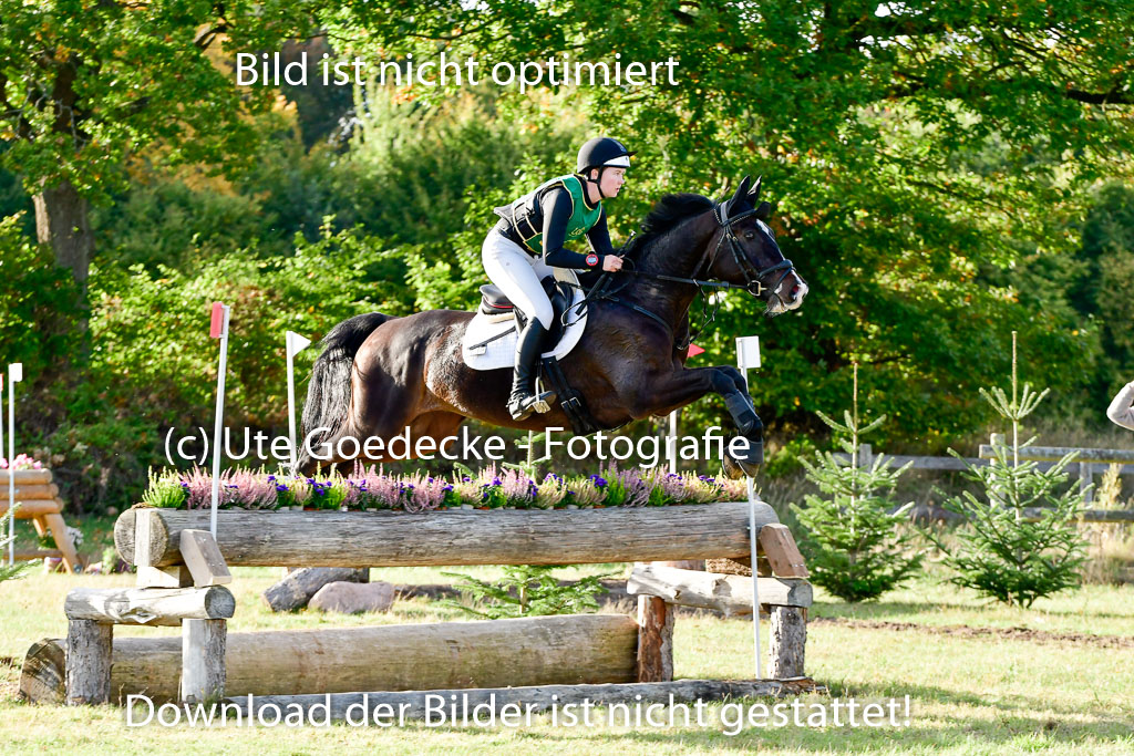 Bad Segeberg 09.10.2022 | 09102022 - XC CCI++ _504