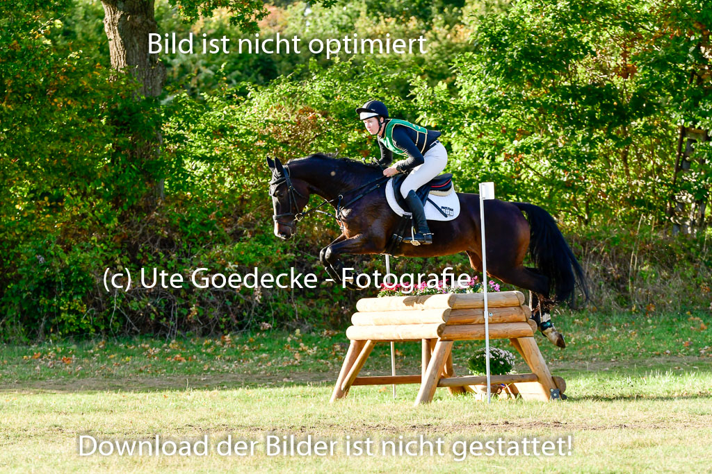 Bad Segeberg 09.10.2022 | 09102022 - XC CCI++ _505