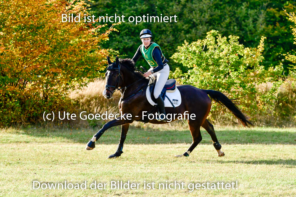 Bad Segeberg 09.10.2022 | 09102022 - XC CCI++ _506