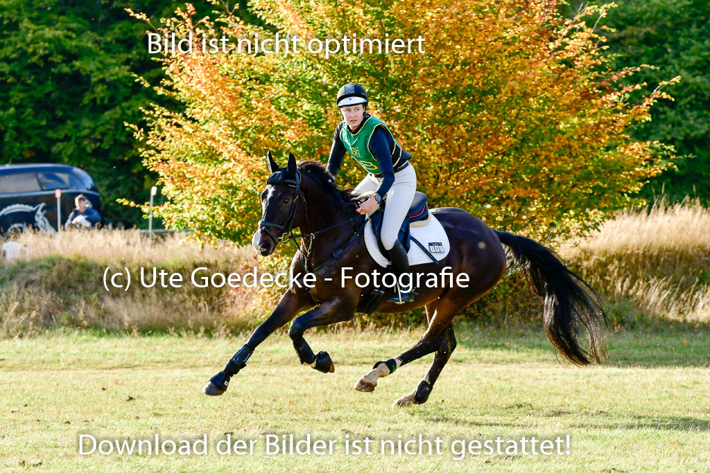Bad Segeberg 09.10.2022 | 09102022 - XC CCI++ _507