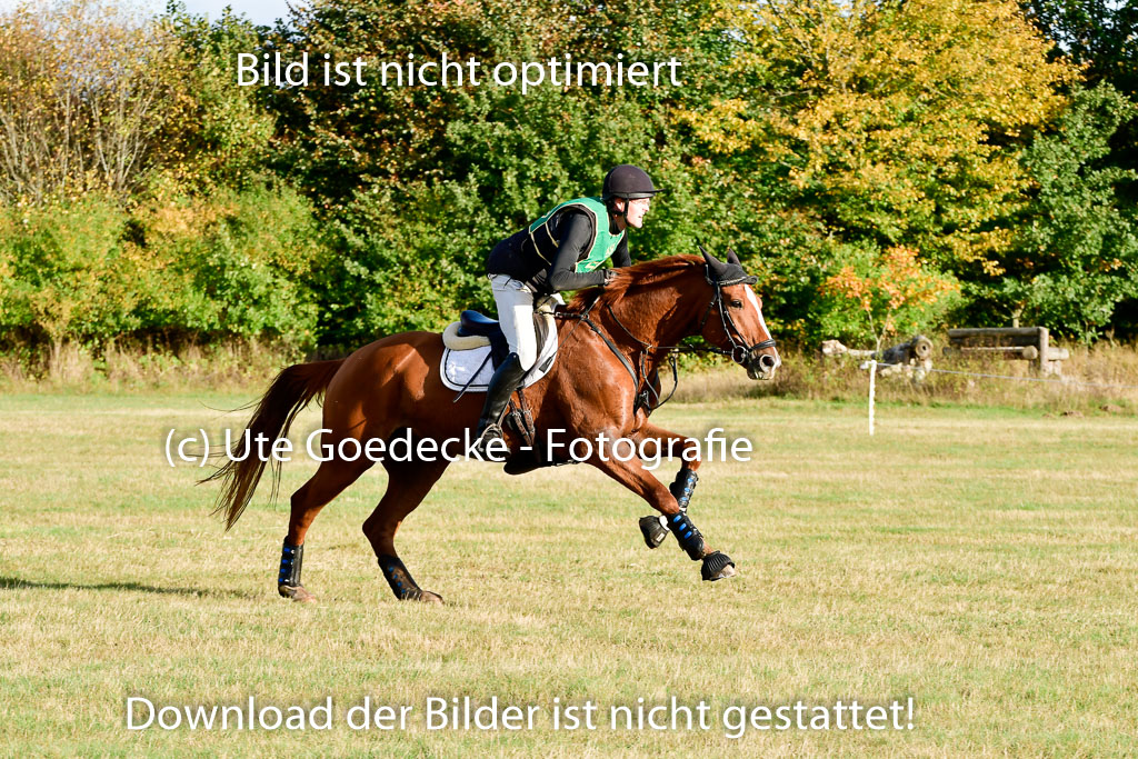 Bad Segeberg 09.10.2022 | 09102022 - XC CCI++ _517