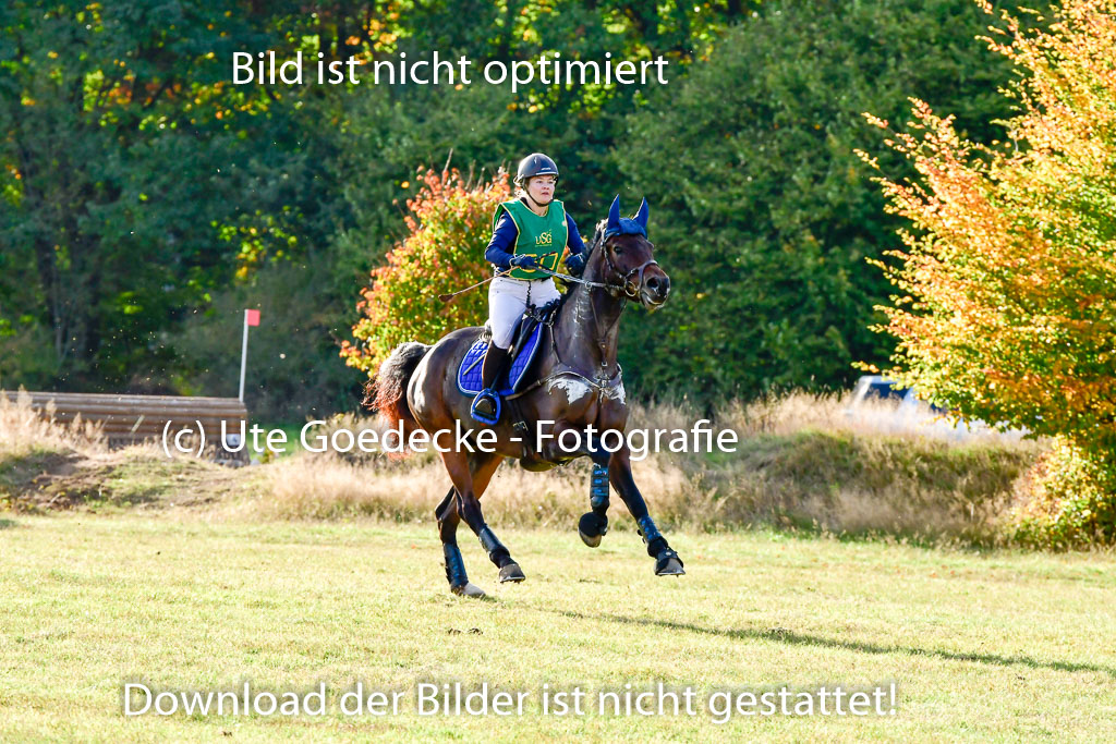 Bad Segeberg 09.10.2022 | 09102022 - XC CCI++ _519