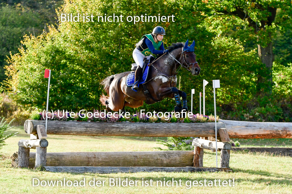 Bad Segeberg 09.10.2022 | 09102022 - XC CCI++ _521