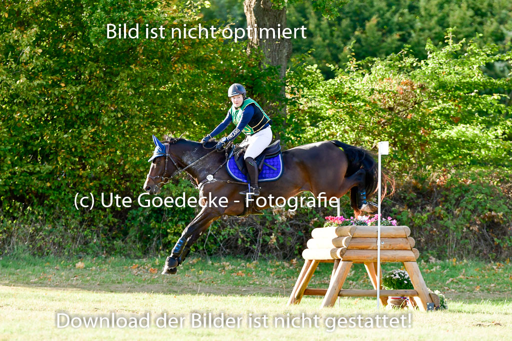 Bad Segeberg 09.10.2022 | 09102022 - XC CCI++ _524
