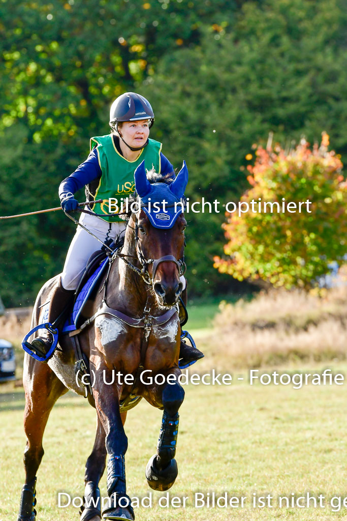 Bad Segeberg 09.10.2022 | 09102022 - XC CCI++ _526