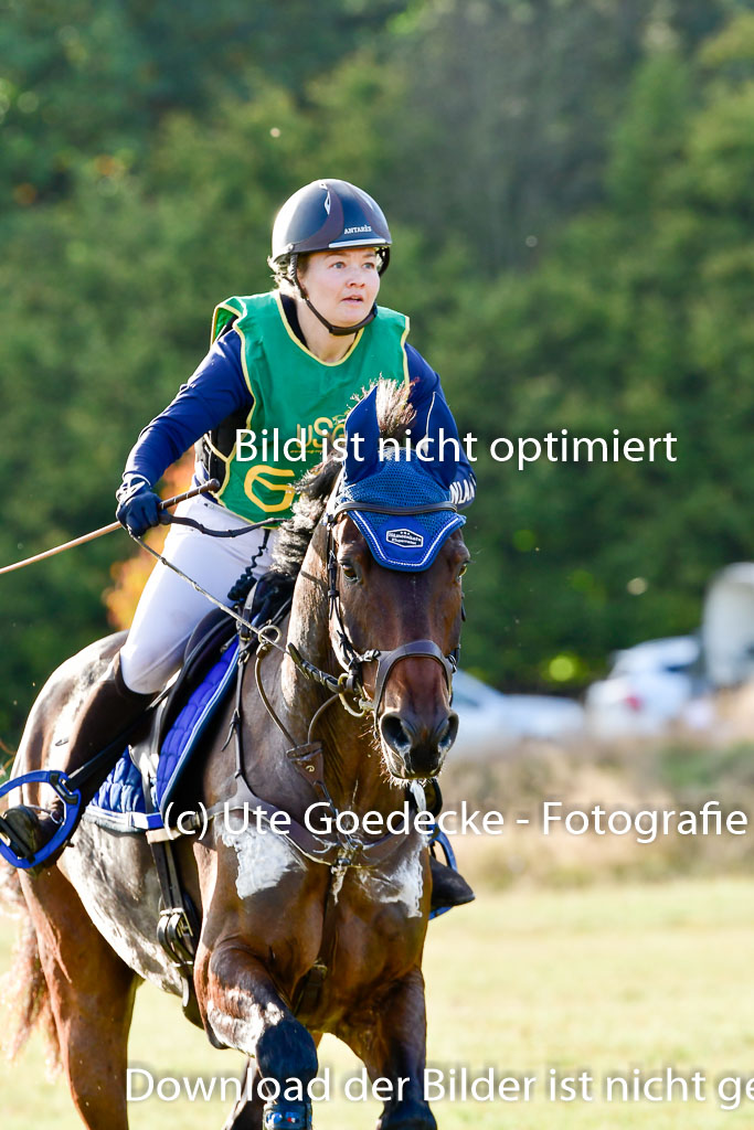 Bad Segeberg 09.10.2022 | 09102022 - XC CCI++ _527