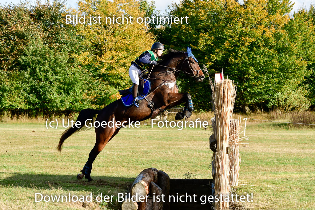 Bad Segeberg 09.10.2022 | 09102022 - XC CCI++ _529