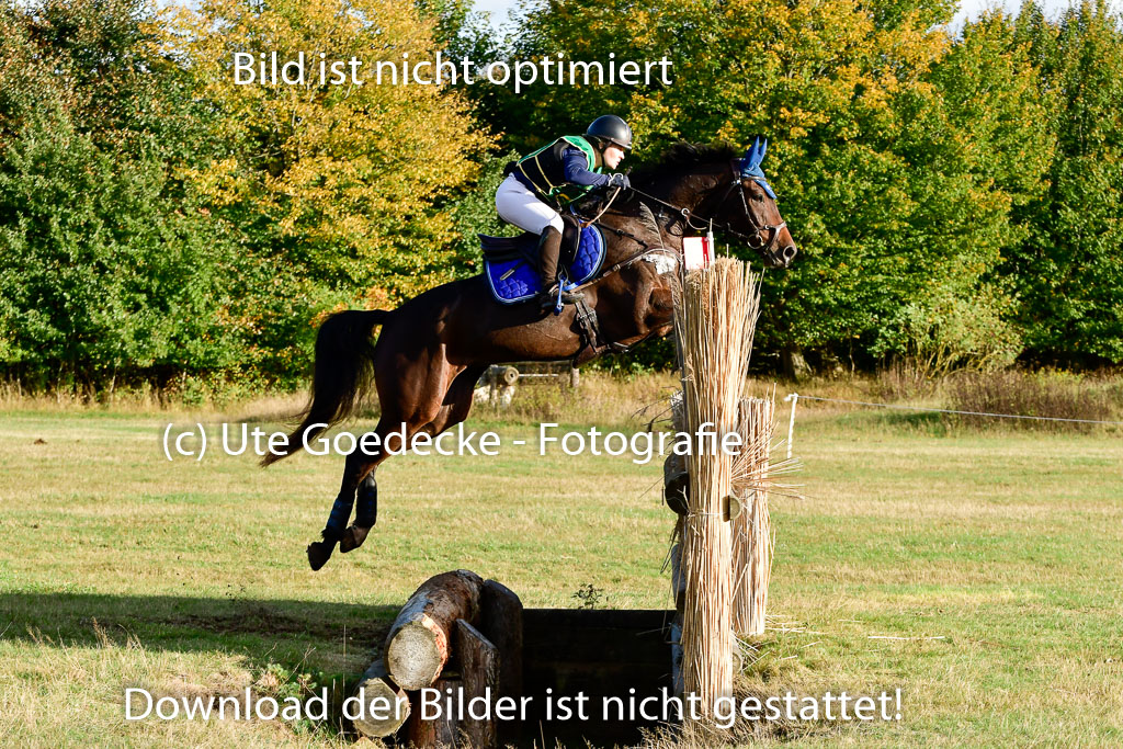 Bad Segeberg 09.10.2022 | 09102022 - XC CCI++ _530