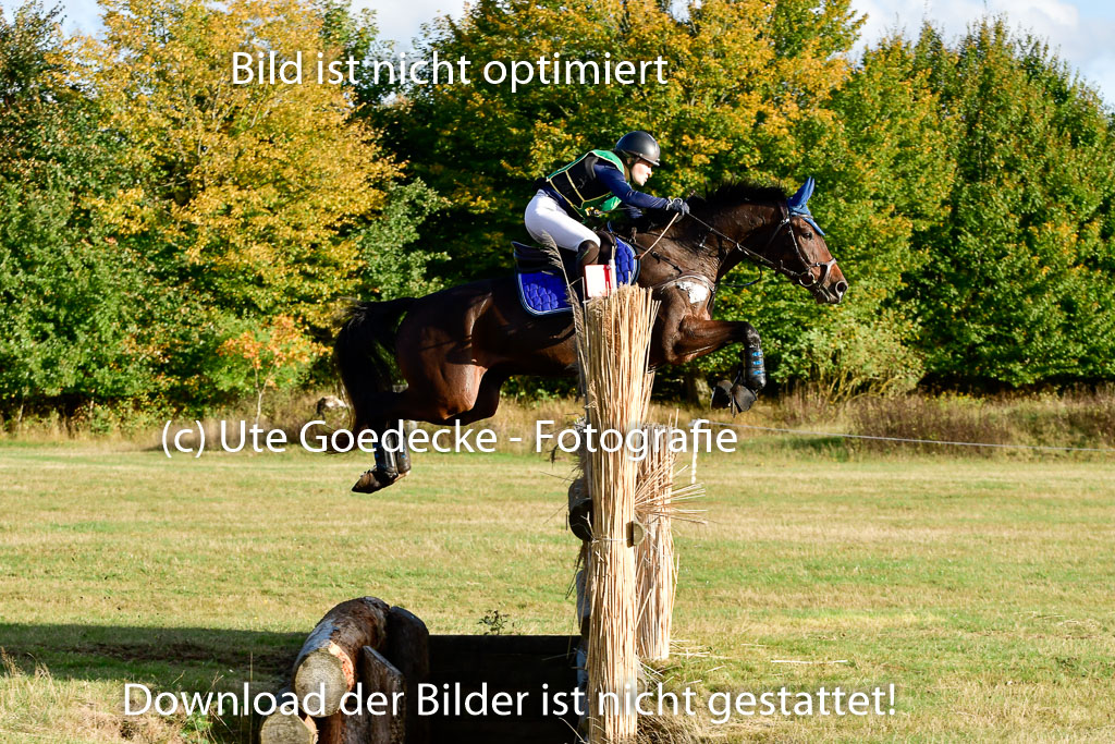 Bad Segeberg 09.10.2022 | 09102022 - XC CCI++ _531