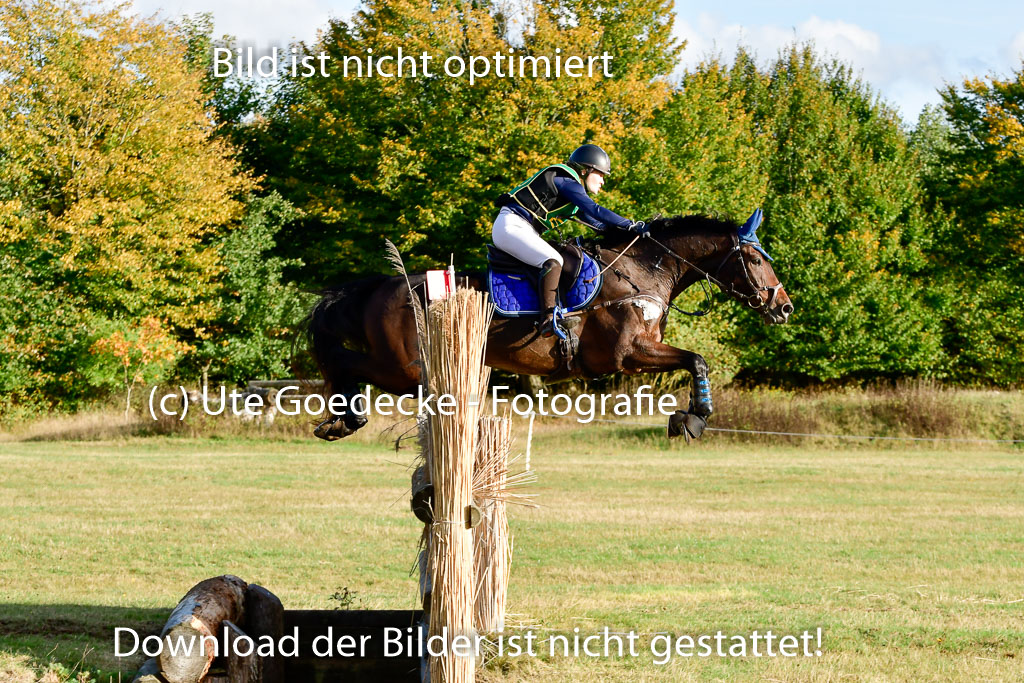 Bad Segeberg 09.10.2022 | 09102022 - XC CCI++ _532