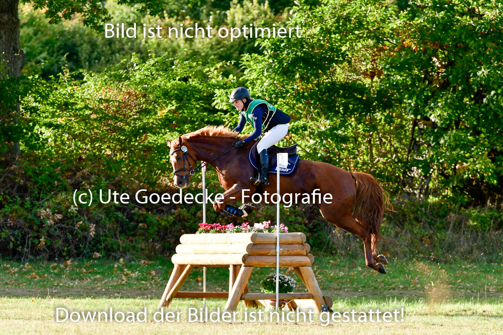 Bad Segeberg 09.10.2022 | 09102022 - XC CCI++ _533