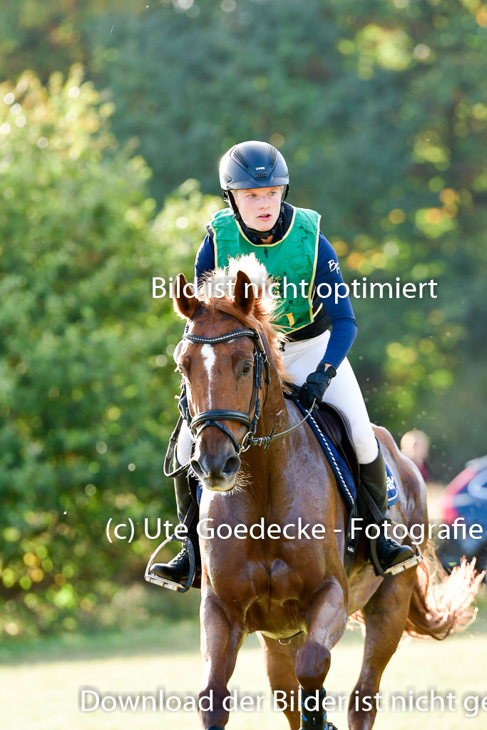 Bad Segeberg 09.10.2022 | 09102022 - XC CCI++ _534