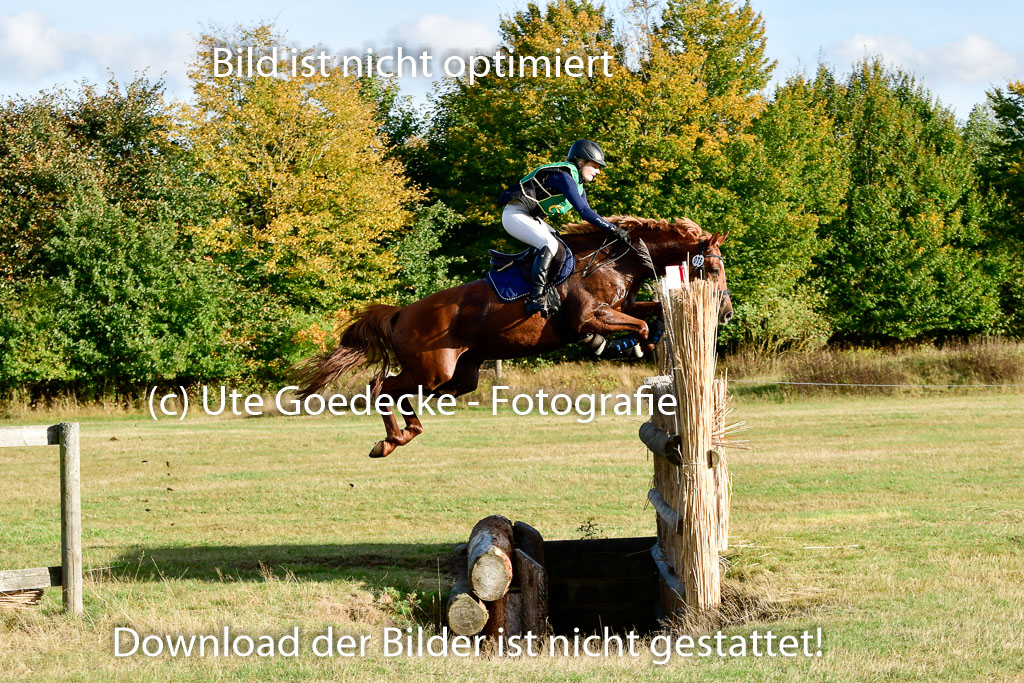 Bad Segeberg 09.10.2022 | 09102022 - XC CCI++ _537