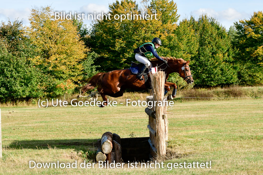 Bad Segeberg 09.10.2022 | 09102022 - XC CCI++ _538