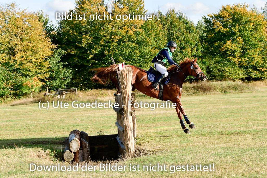 Bad Segeberg 09.10.2022 | 09102022 - XC CCI++ _539