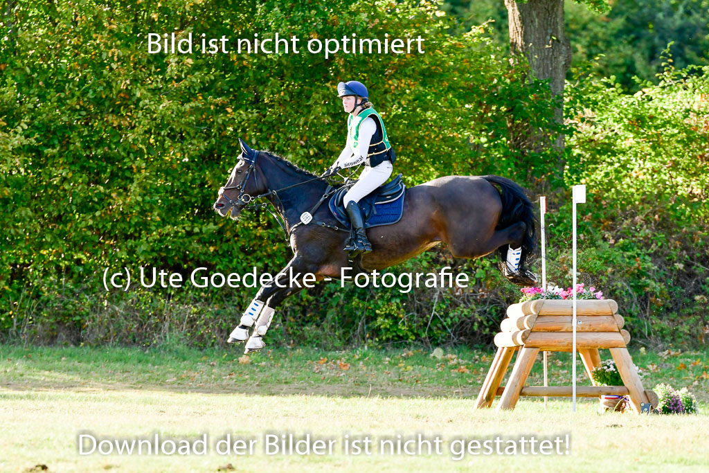 Bad Segeberg 09.10.2022 | 09102022 - XC CCI++ _540