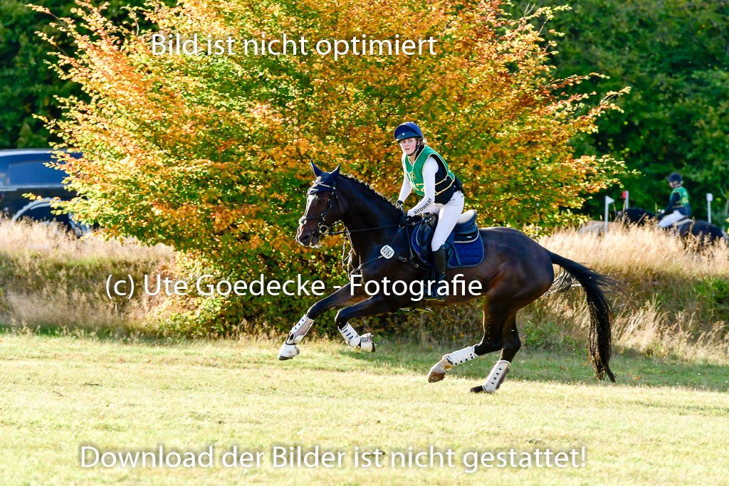 Bad Segeberg 09.10.2022 | 09102022 - XC CCI++ _541