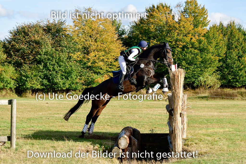 Bad Segeberg 09.10.2022 | 09102022 - XC CCI++ _544