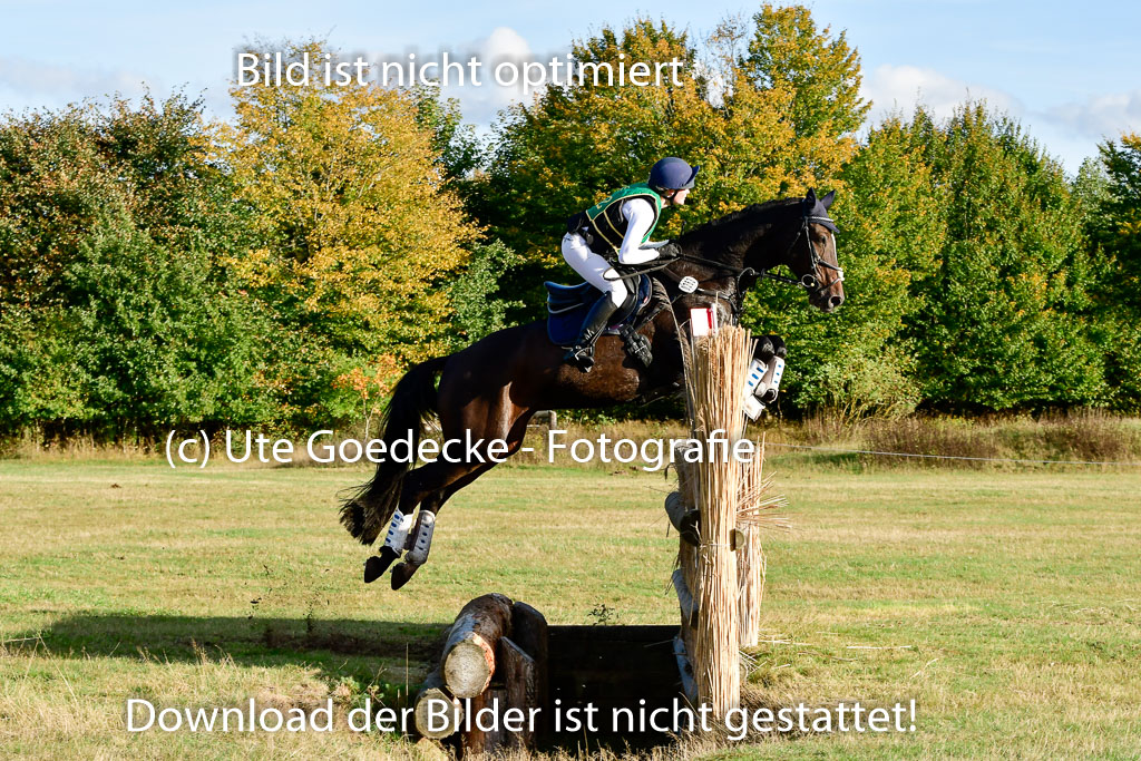 Bad Segeberg 09.10.2022 | 09102022 - XC CCI++ _545
