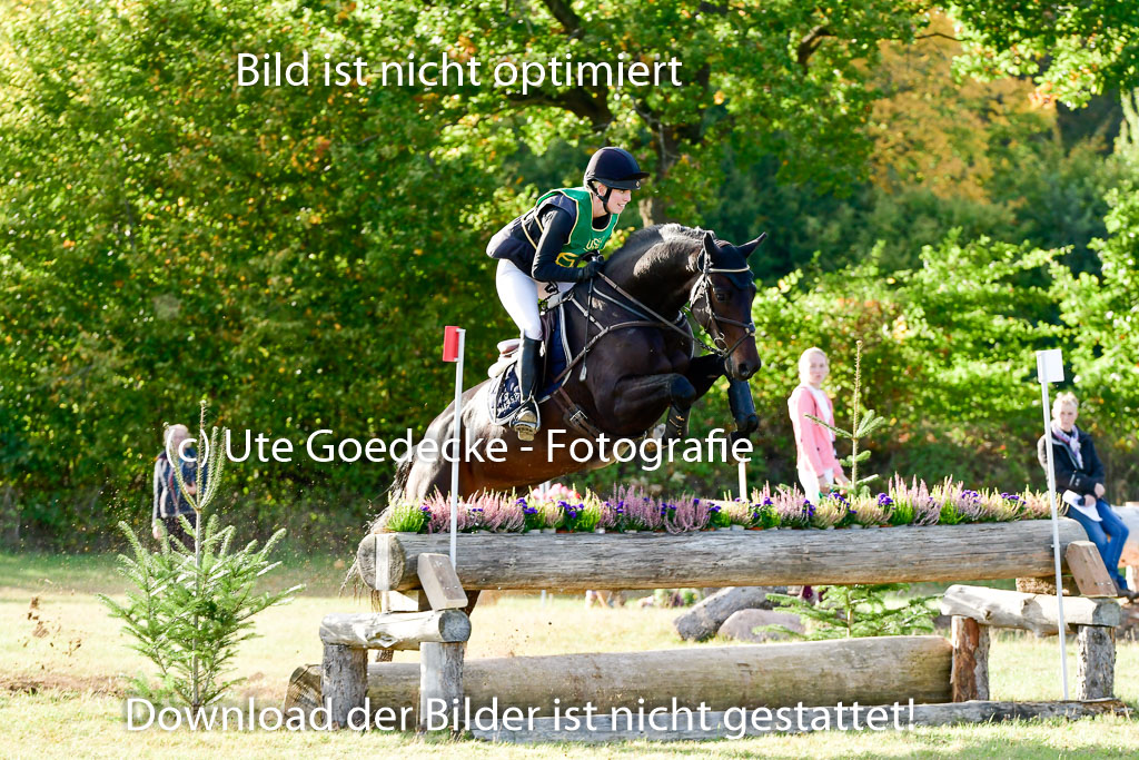 Bad Segeberg 09.10.2022 | 09102022 - XC CCI++ _547