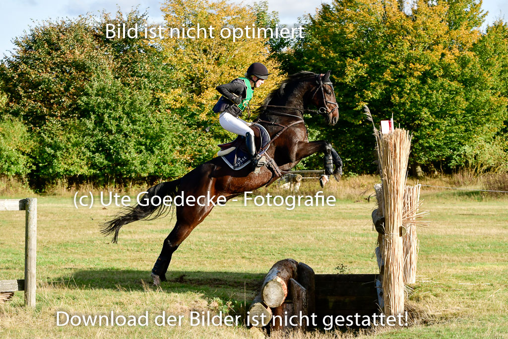 Bad Segeberg 09.10.2022 | 09102022 - XC CCI++ _553