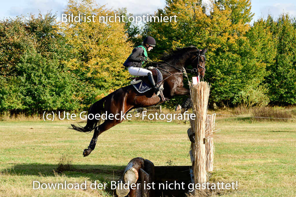Bad Segeberg 09.10.2022 | 09102022 - XC CCI++ _554
