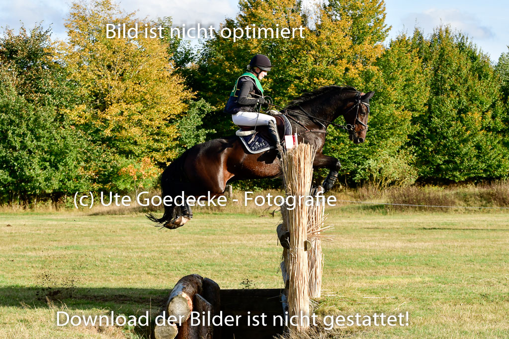 Bad Segeberg 09.10.2022 | 09102022 - XC CCI++ _555