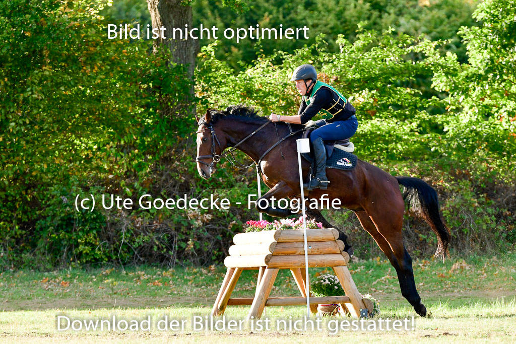 Bad Segeberg 09.10.2022 | 09102022 - XC CCI++ _558