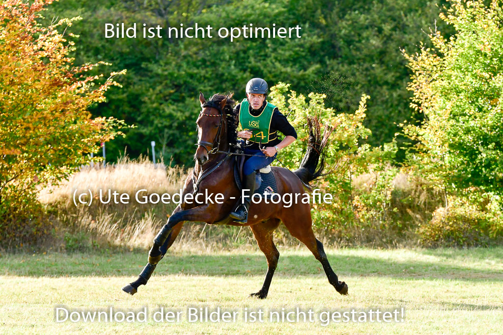 Bad Segeberg 09.10.2022 | 09102022 - XC CCI++ _561