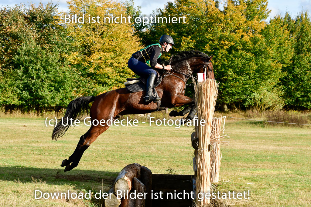 Bad Segeberg 09.10.2022 | 09102022 - XC CCI++ _564