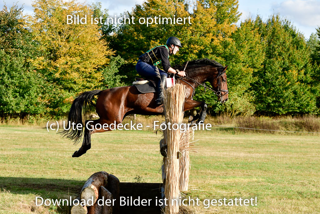 Bad Segeberg 09.10.2022 | 09102022 - XC CCI++ _565