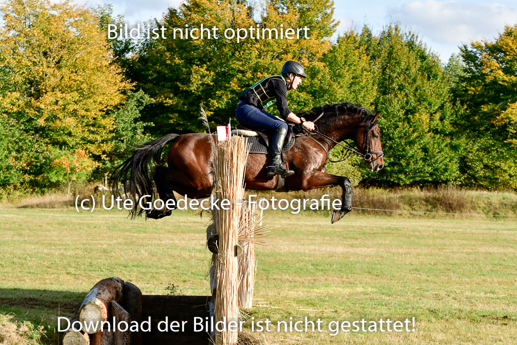 Bad Segeberg 09.10.2022 | 09102022 - XC CCI++ _566
