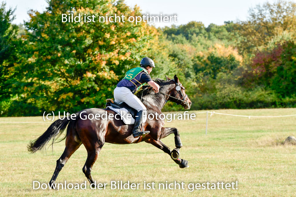 Bad Segeberg 09.10.2022 | 09102022 - XC CCI++ _576