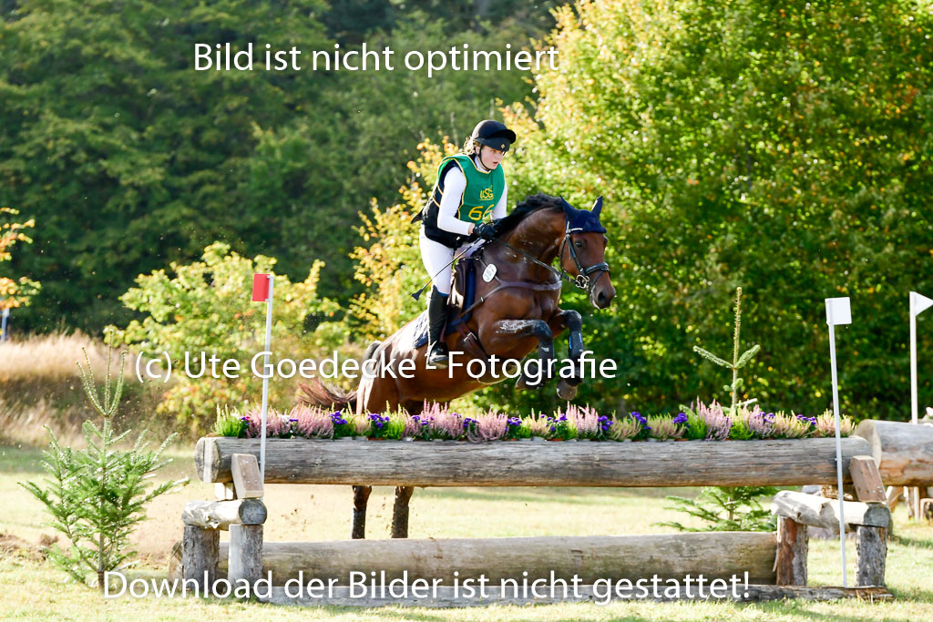 Bad Segeberg 09.10.2022 | 09102022 - XC CCI++ _577