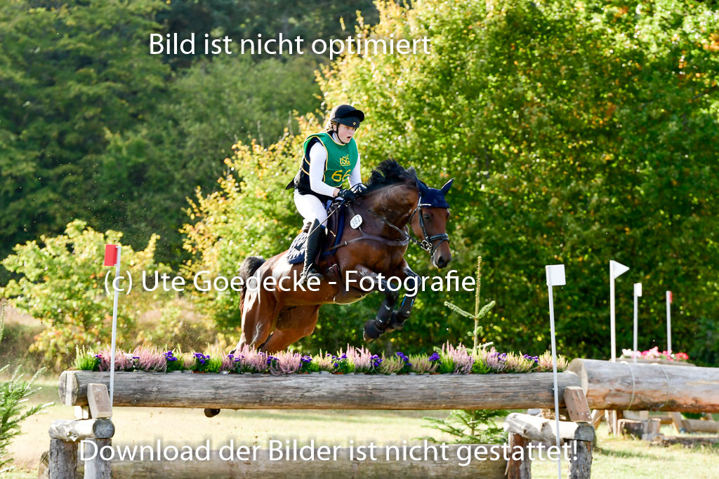 Bad Segeberg 09.10.2022 | 09102022 - XC CCI++ _578