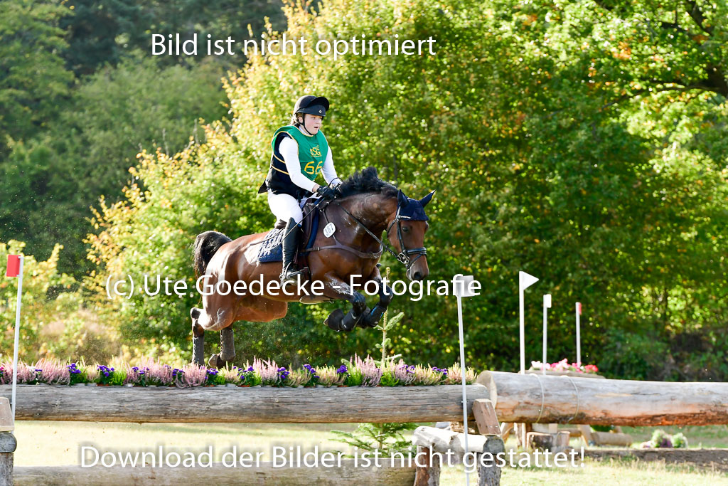 Bad Segeberg 09.10.2022 | 09102022 - XC CCI++ _579